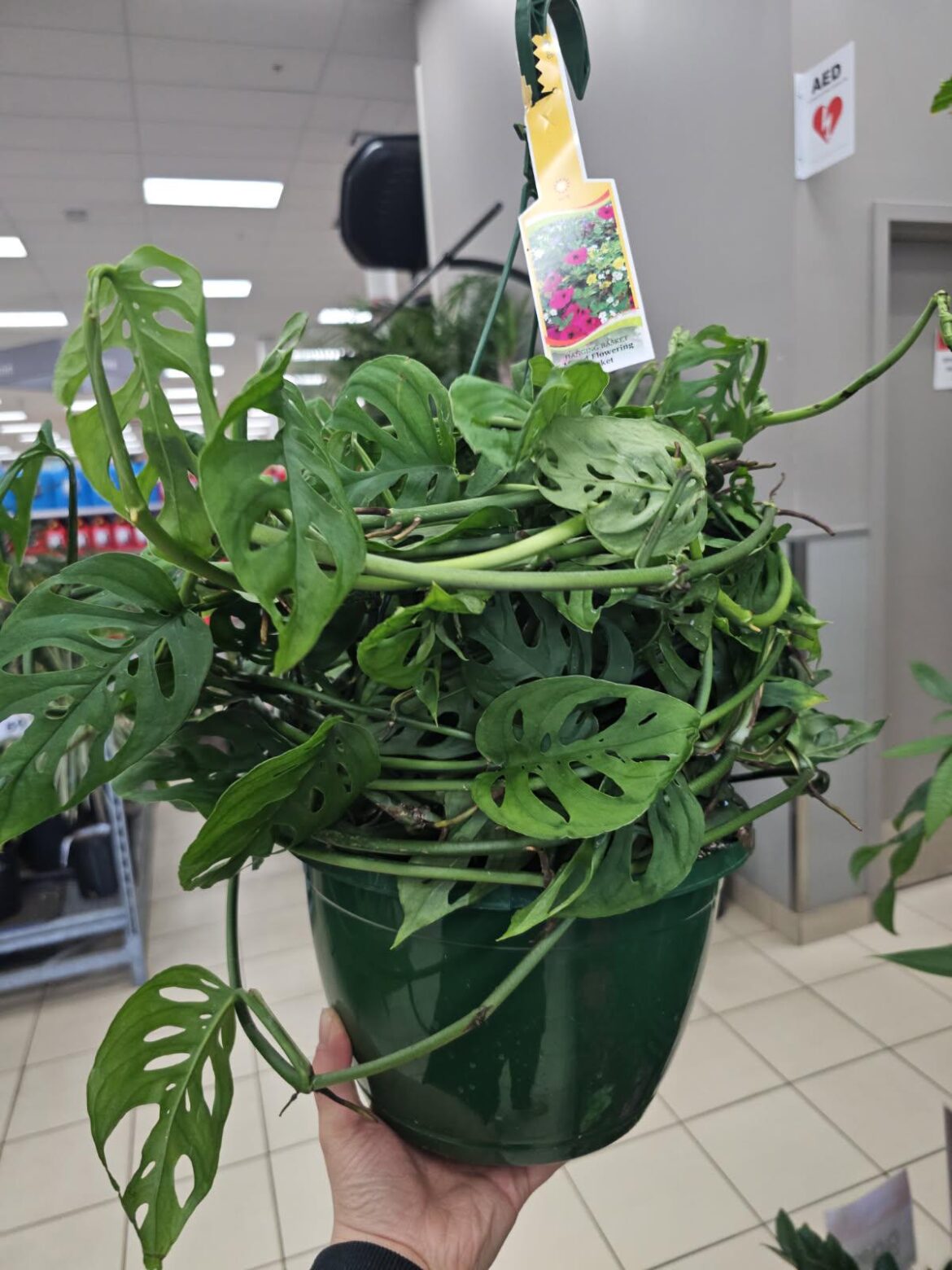 Canadian Tire is crazy for this.
