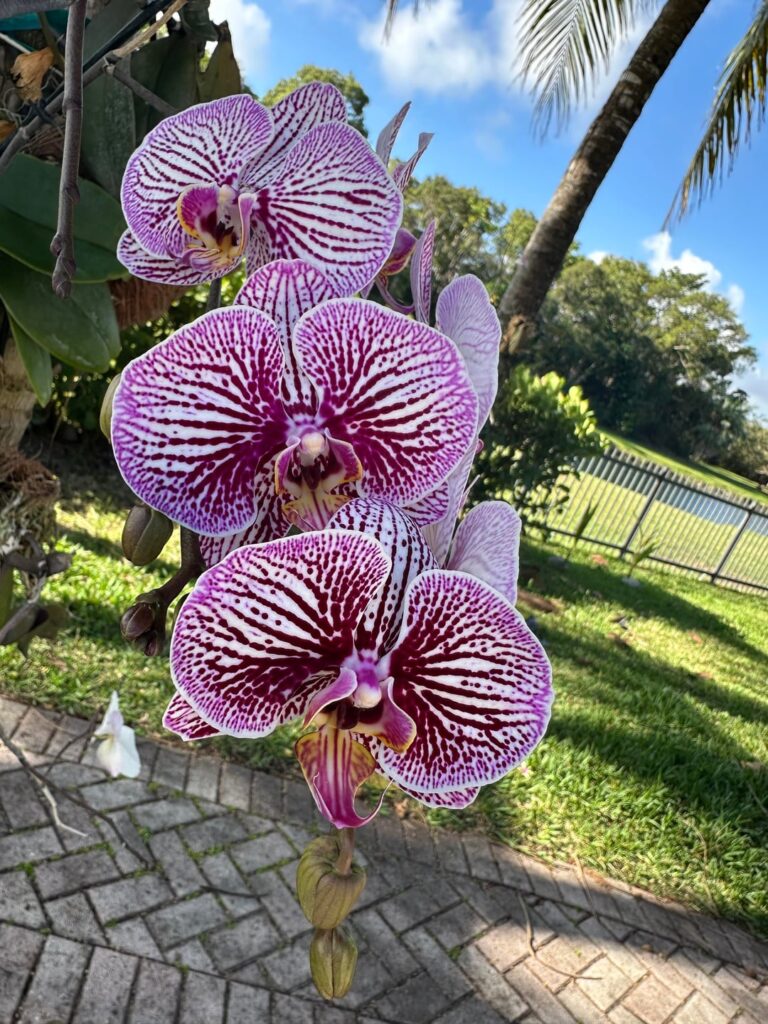 Happy Weekend!