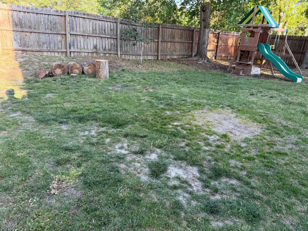 Stump Removal