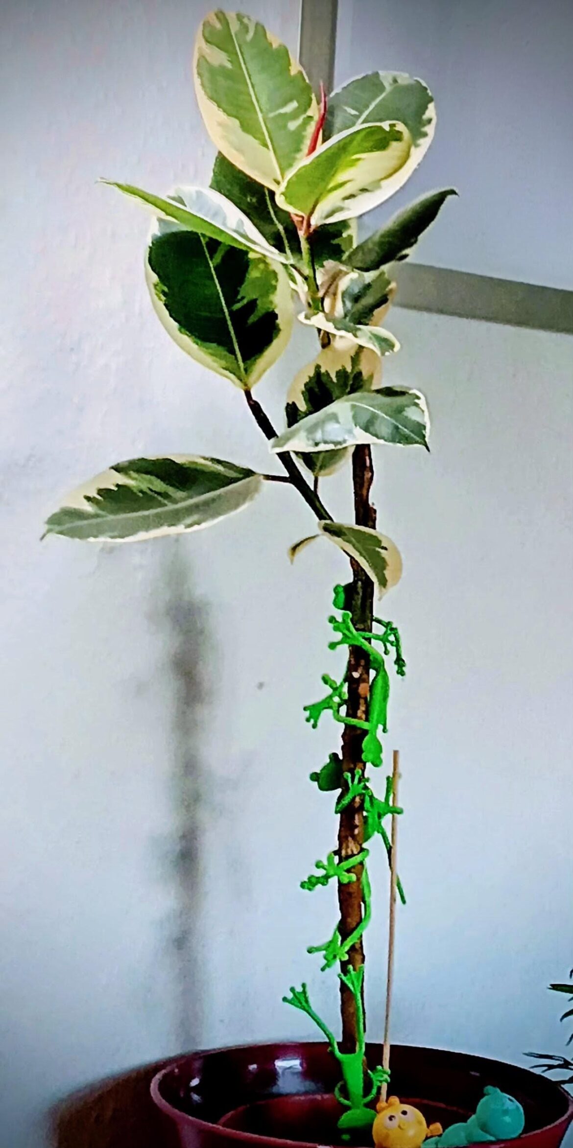 What is the best way you prop this?