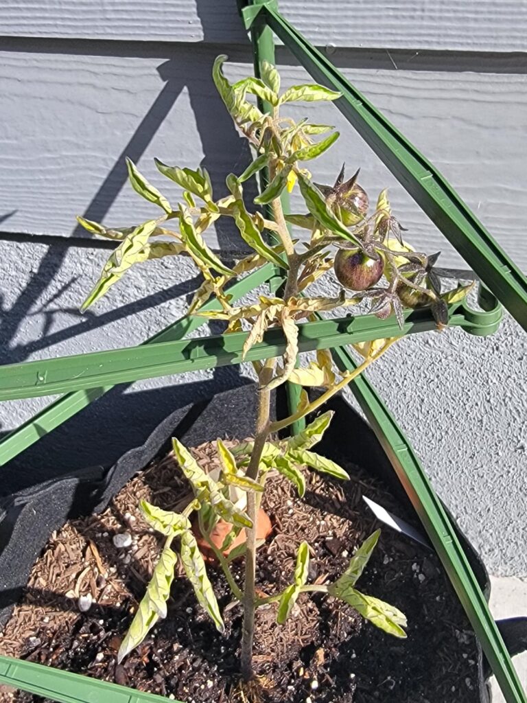 Help!