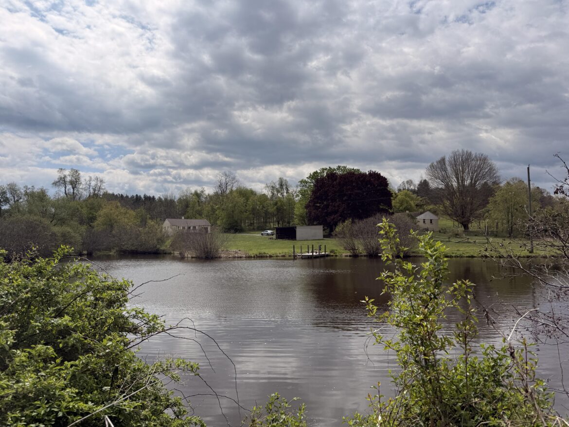 After years of looking and saving we finally did it. Our family of 6 on 10 acres with a 3/4 acre pond!