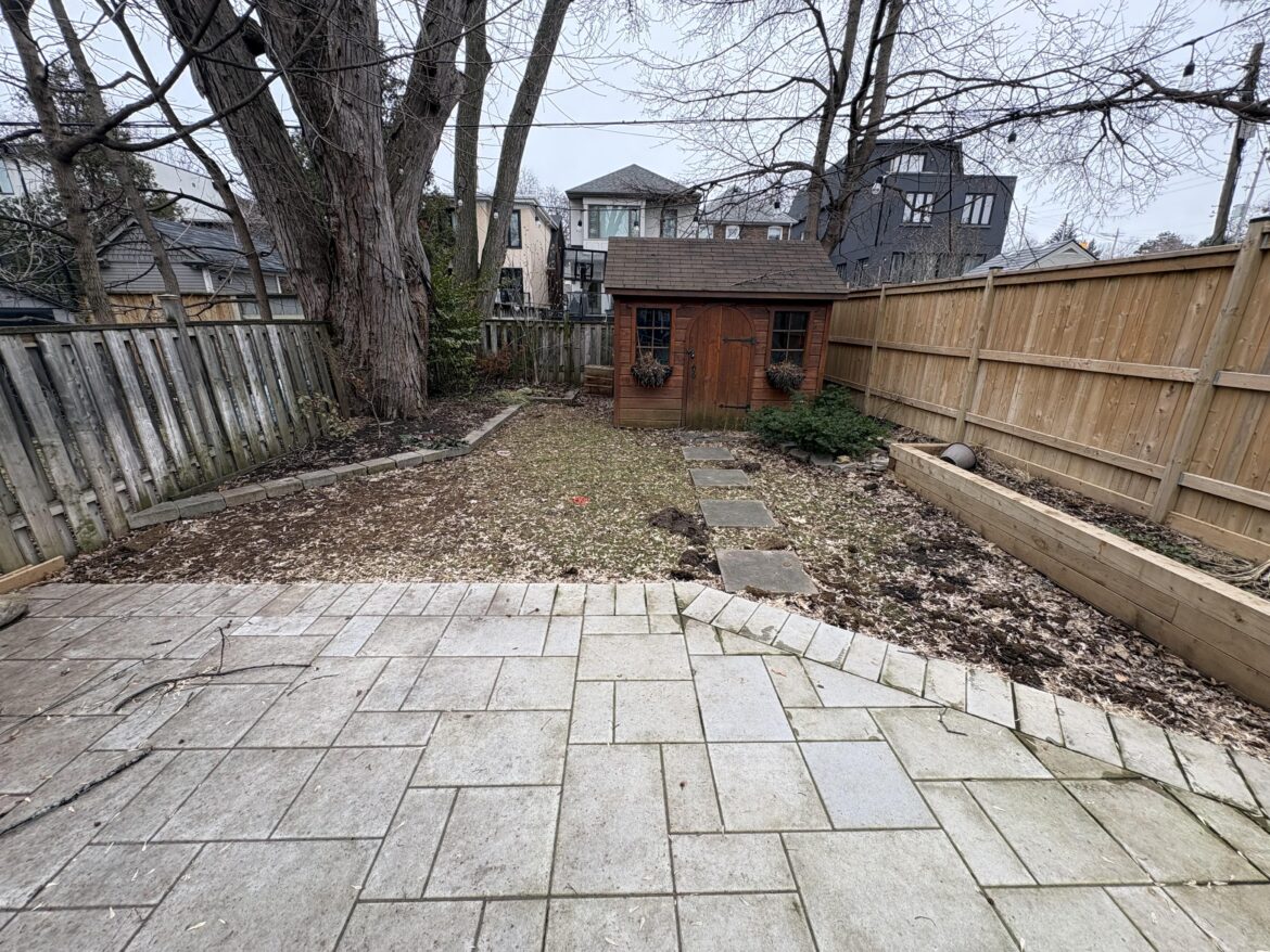 Backyard grass vs raccoons