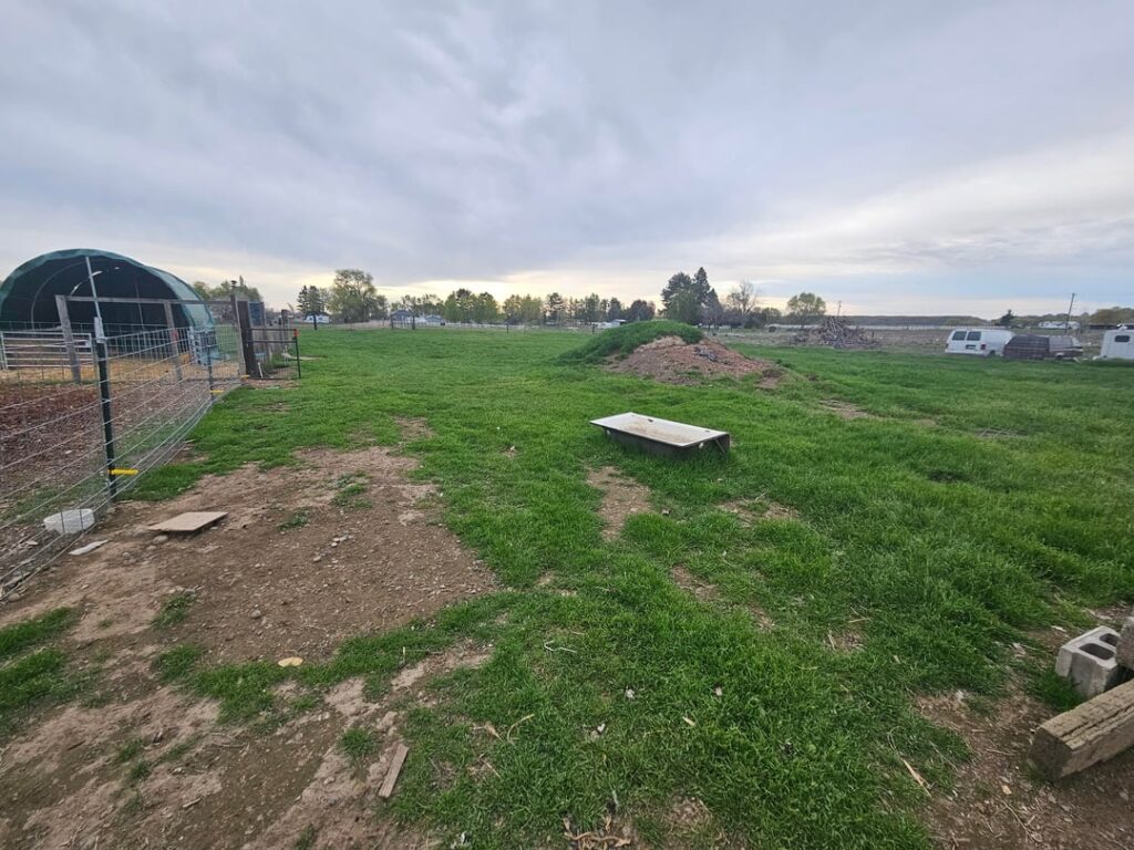 Pasture Is Growing!