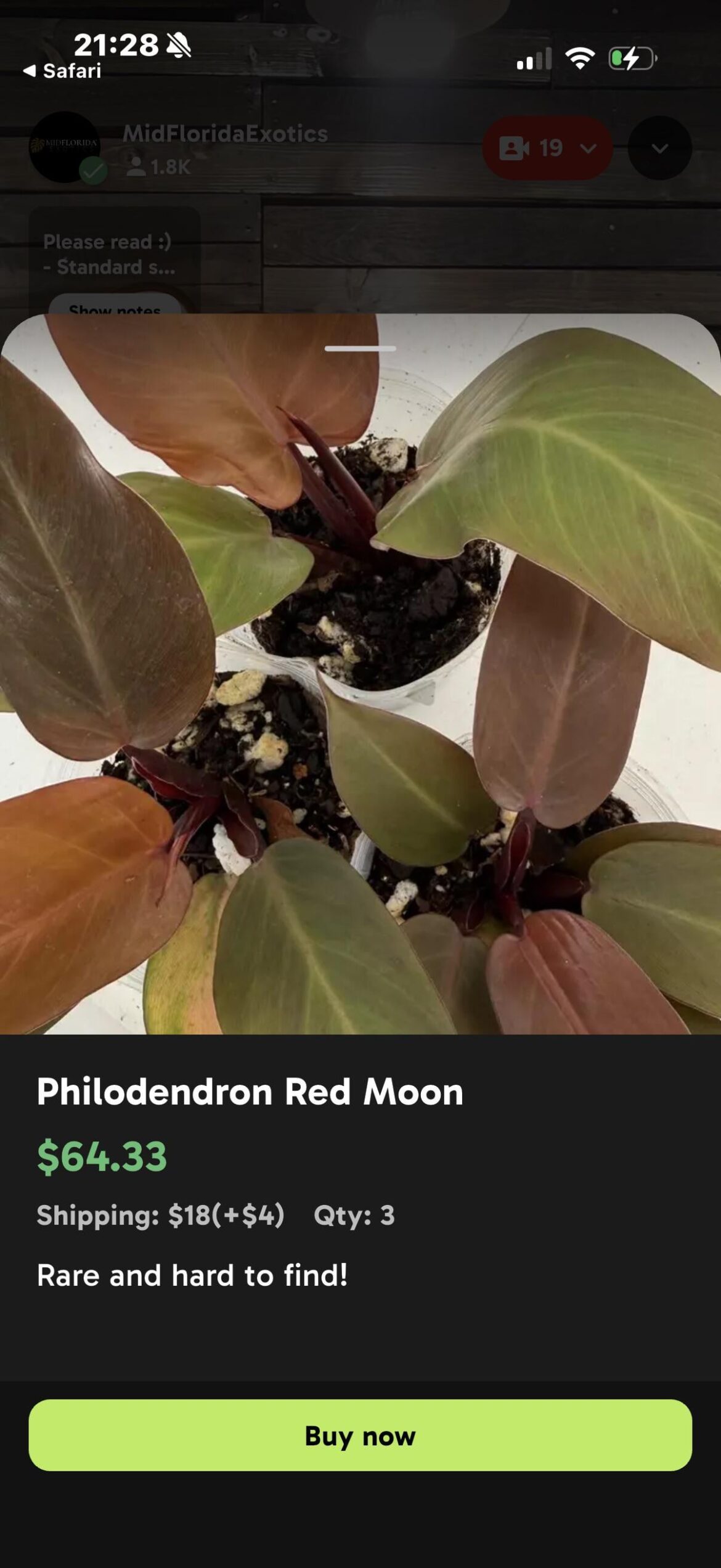 Is this philodendron red moon?
