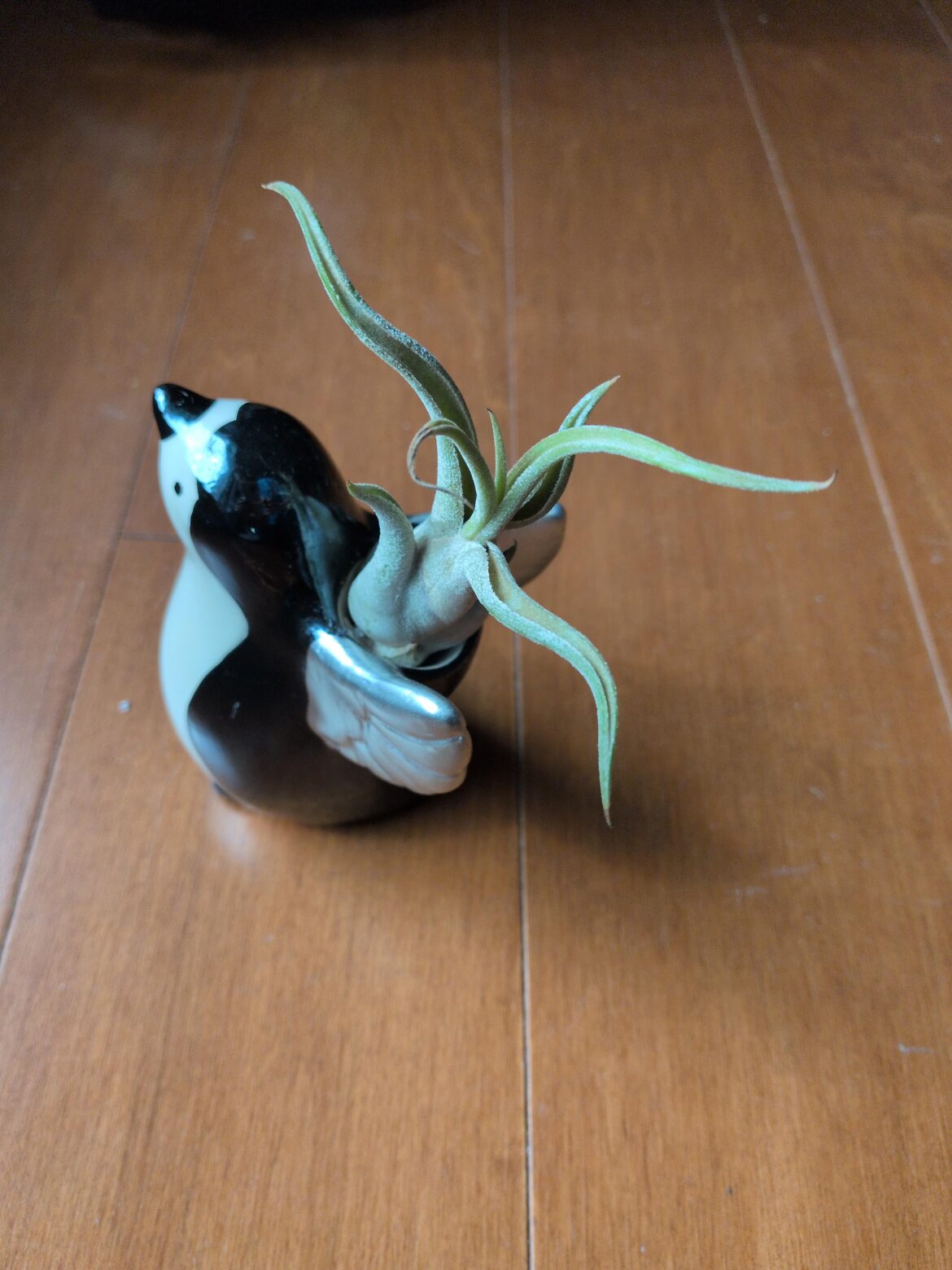 Should I move the plant out of the penguin?