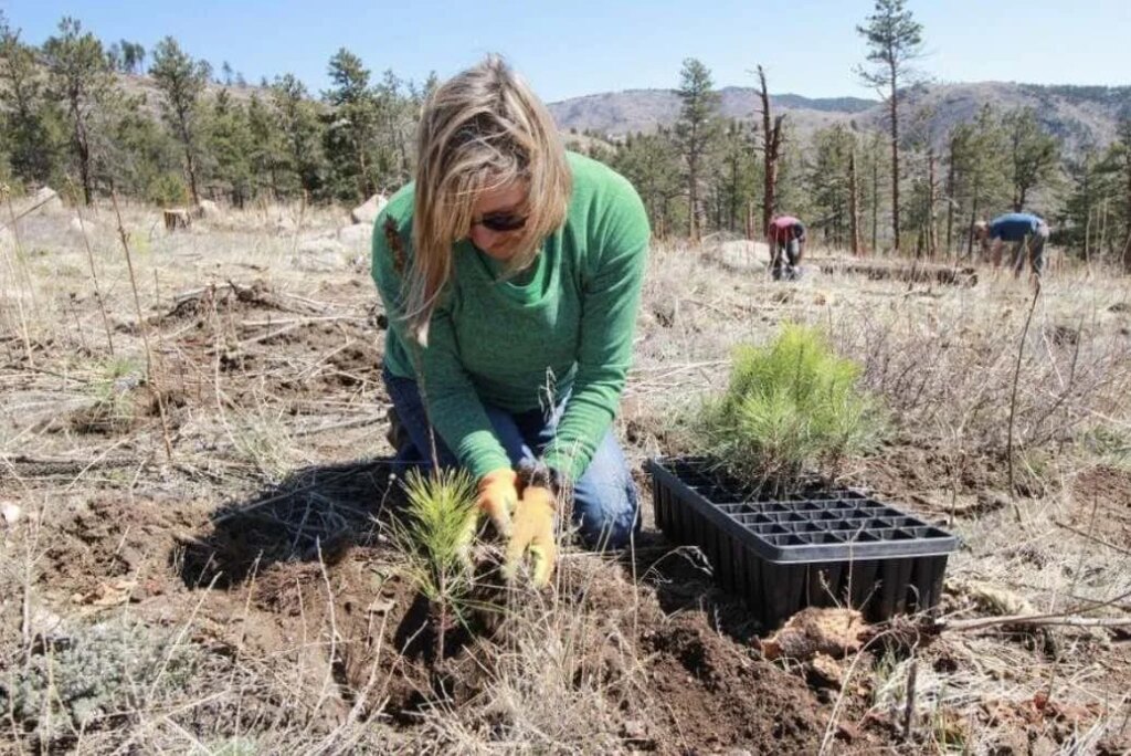 Earth Day Event at CGCC Offers Free Seeds, Gardening Advice — Columbia Community Connection News Mid-Columbia Region Earth Day Event at CGCC Offers Free Seeds, Gardening Advice — Columbia Community Connection News Mid-Columbia Region