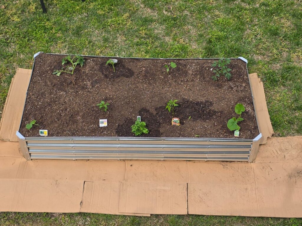 My first raised bed!