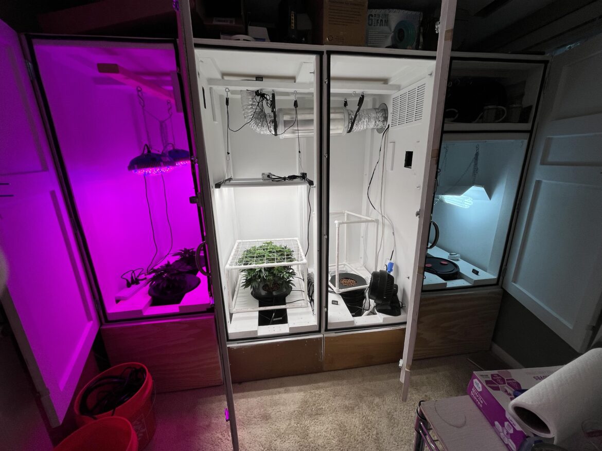 Rate my custom set up.
