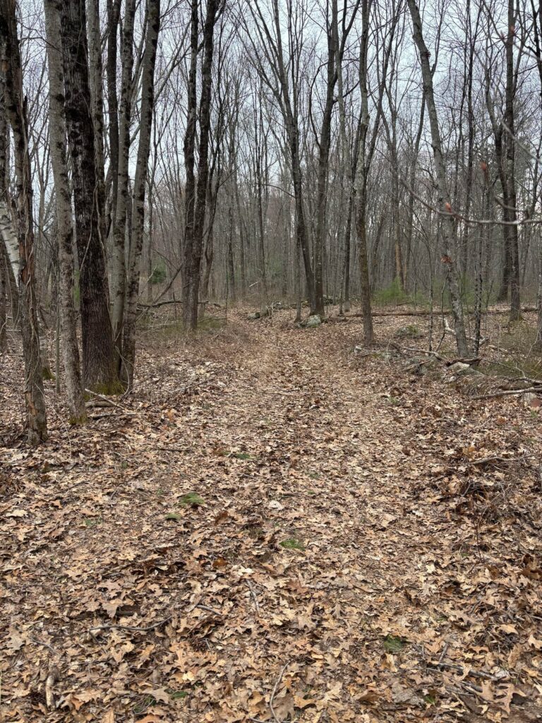 Reclaiming old road