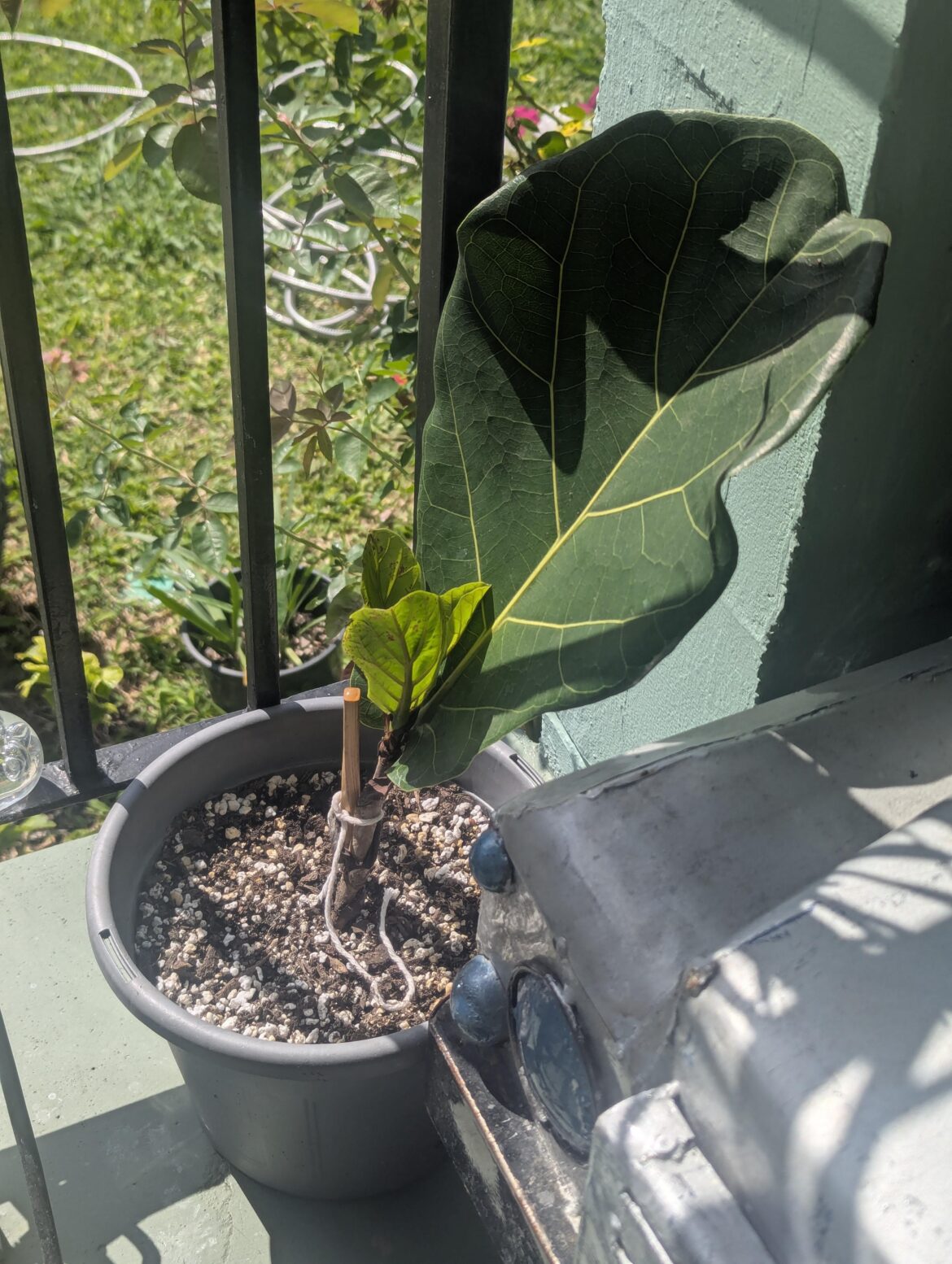 Propagation Question