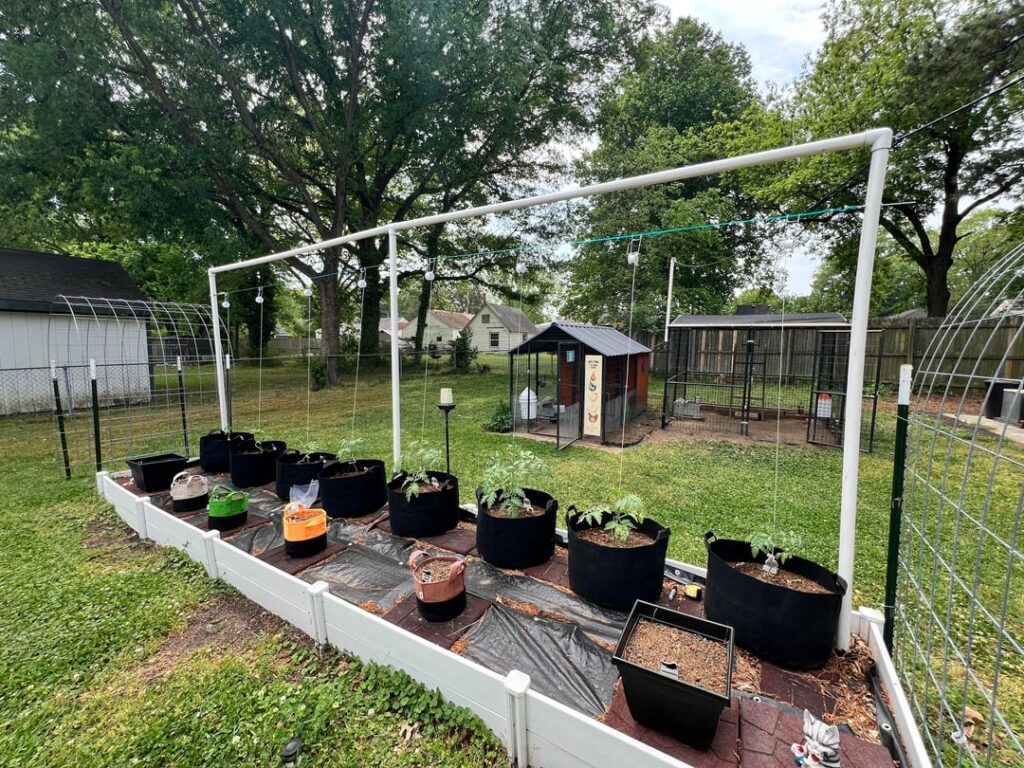 Spent all day installing an updated tomato trellis and adding a berry trellis! Spent all day installing an updated tomato trellis and adding a berry trellis!