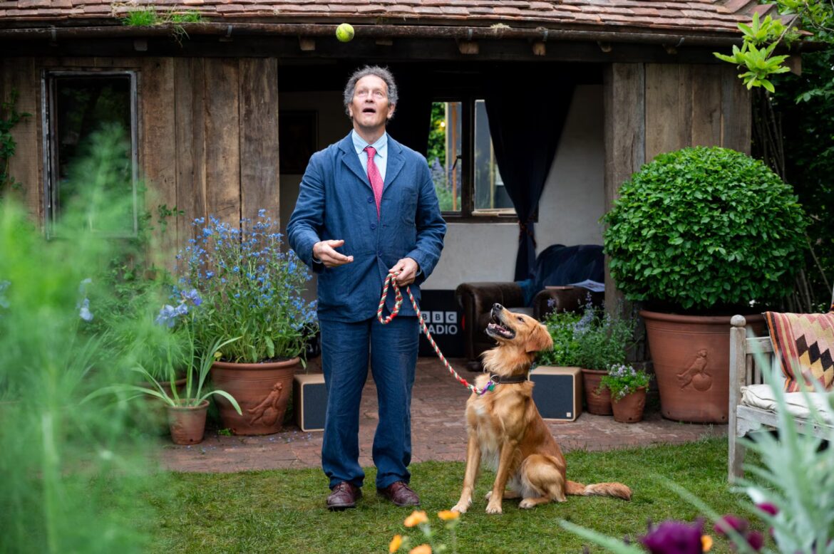Monty Don warns gardeners against digging up this common spring plant that could result in a £5,000 fine Monty Don with dog at RHS Chelsea Flower Show