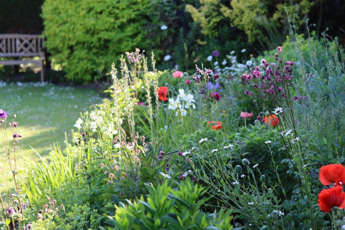 The best seeds to sow before April ends for flowers that bloom all summer Cottage garden with a bed of colourful flowers