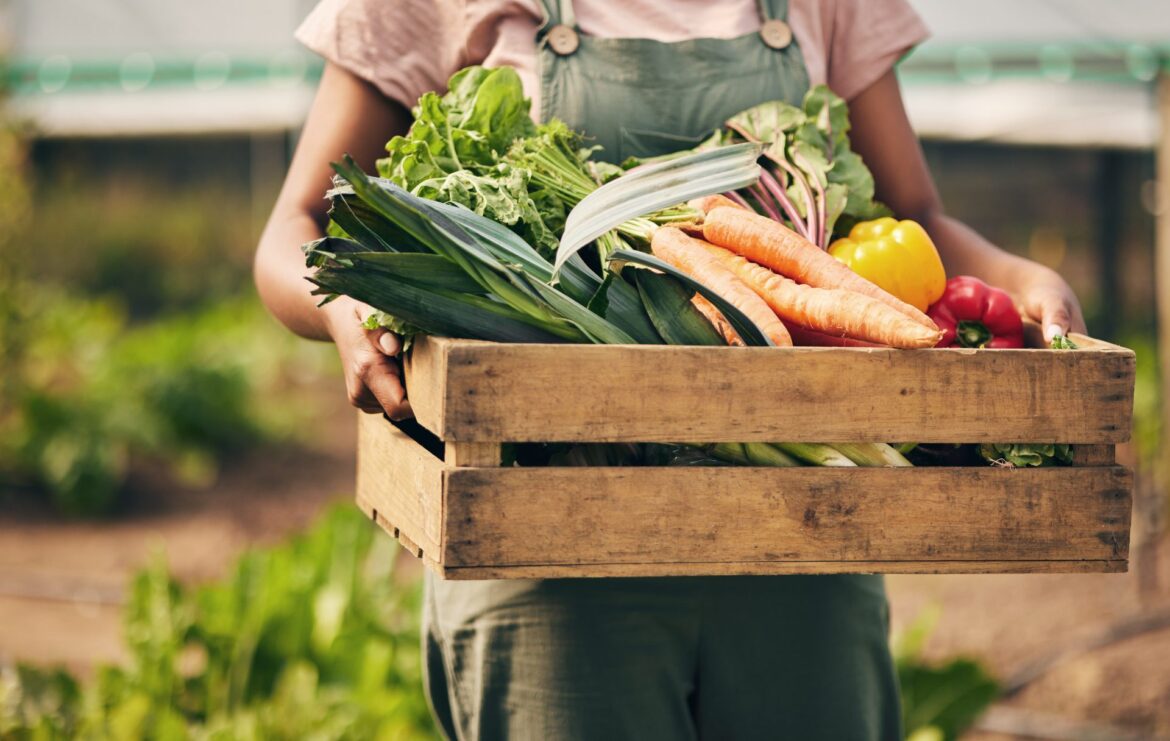 Emplify Health by Gundersen Hillsboro offering build your own garden kits – VernonReporter Emplify Health by Gundersen Hillsboro offering build your own garden kits – VernonReporter