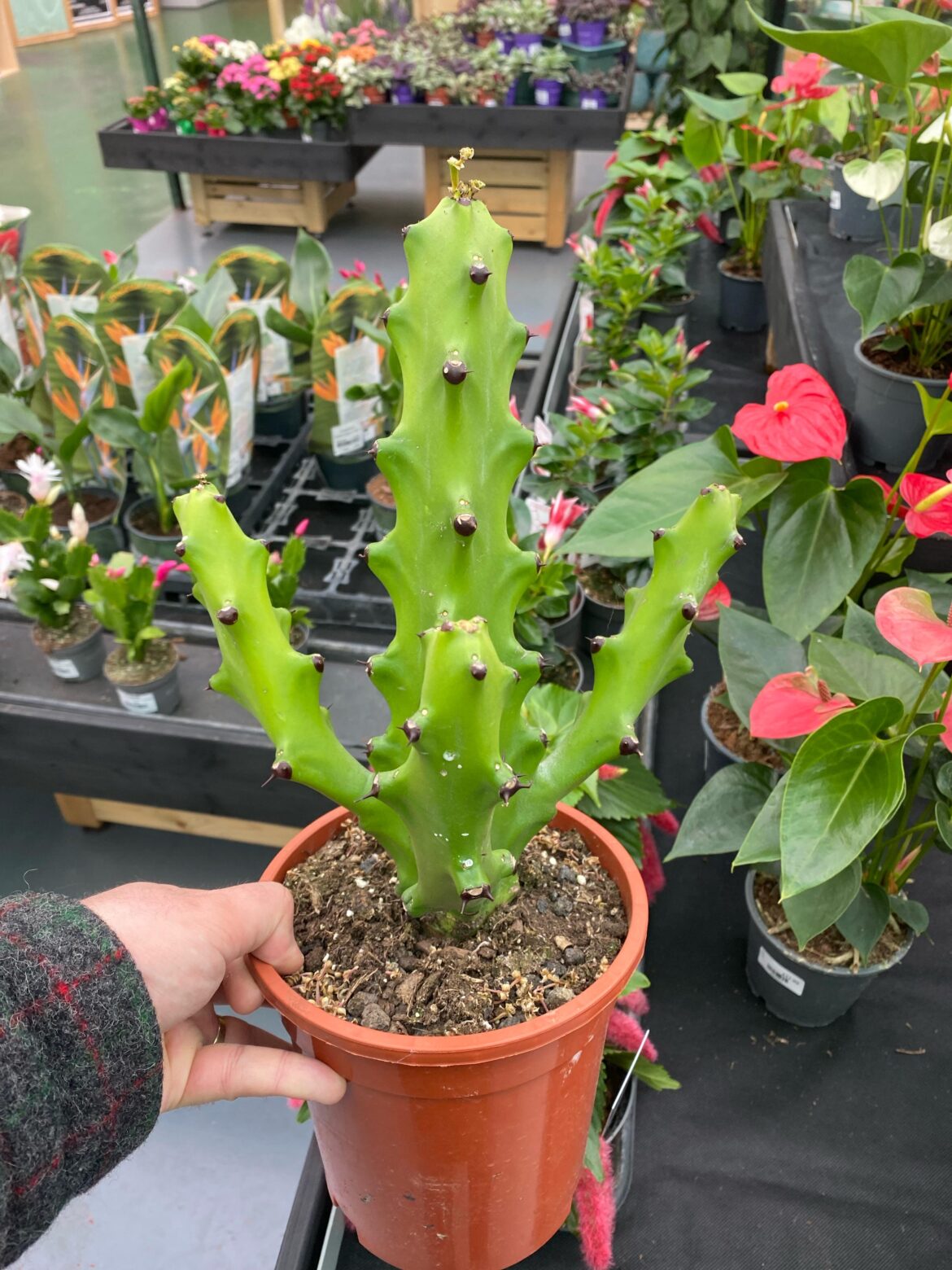 Anyone know what this Is?