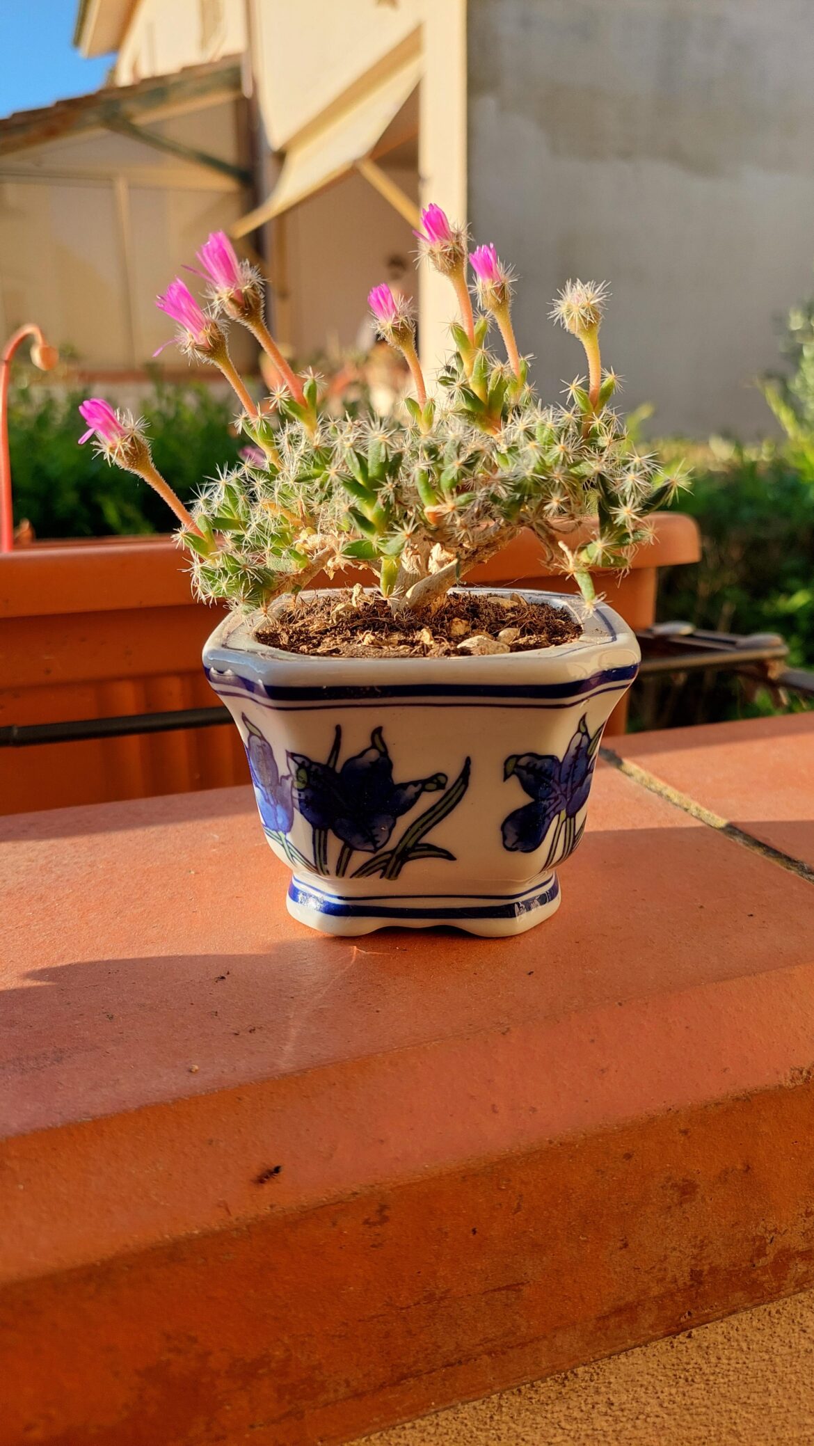 I’m very proud of the vase I saved I'm very proud of the vase I saved