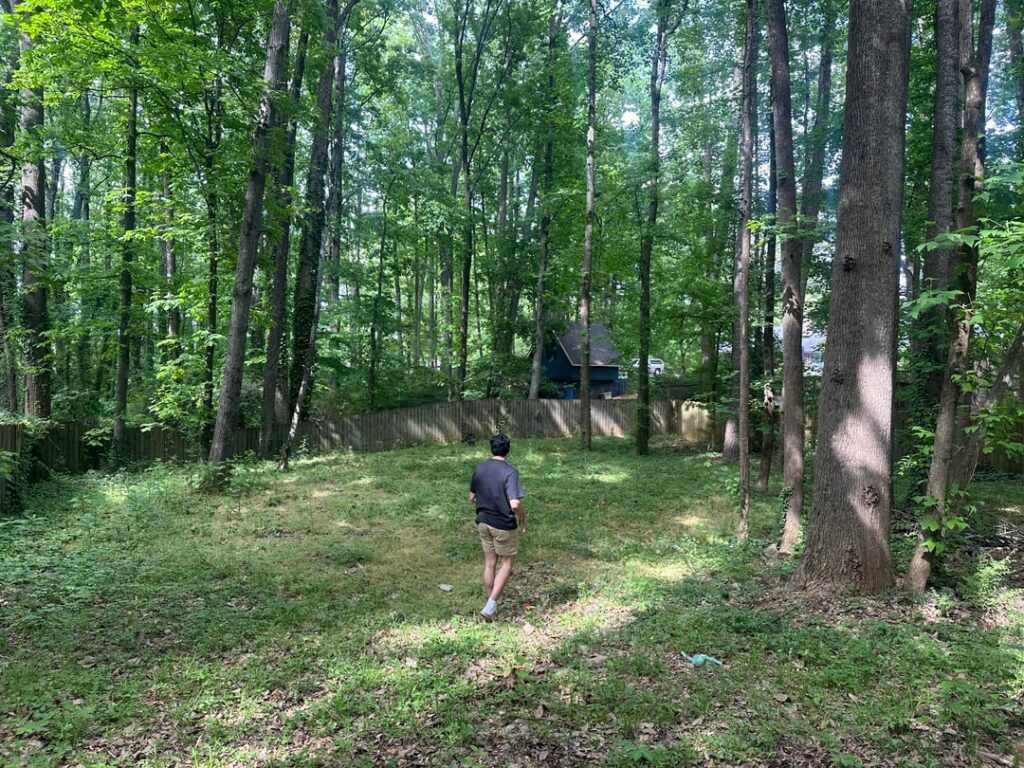 How do you take care of this yard? How do you take care of this yard?
