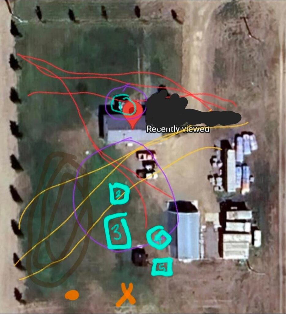 Our acreage is super windy and we need help with what to plant to help windbreak Our acreage is super windy and we need help with what to plant to help windbreak