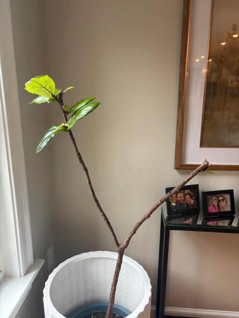 Update!!!!