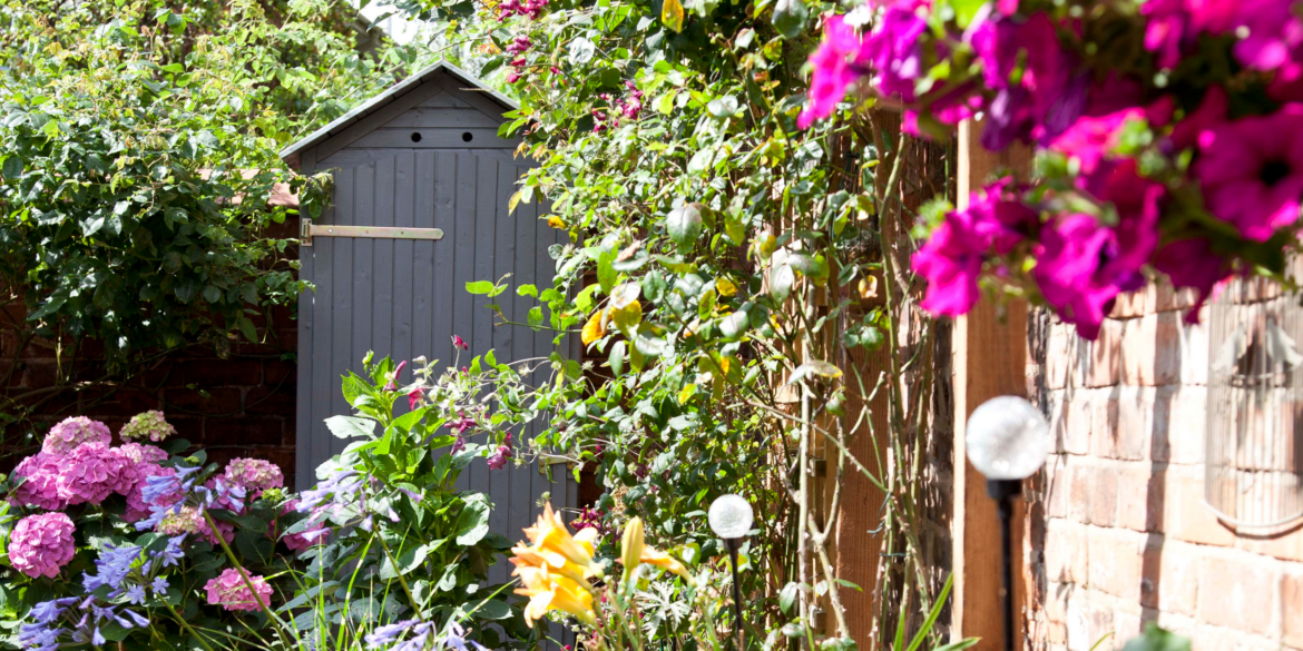 6 best hydrangea varieties for pots for small spaces 6 best hydrangea varieties for pots for small spaces