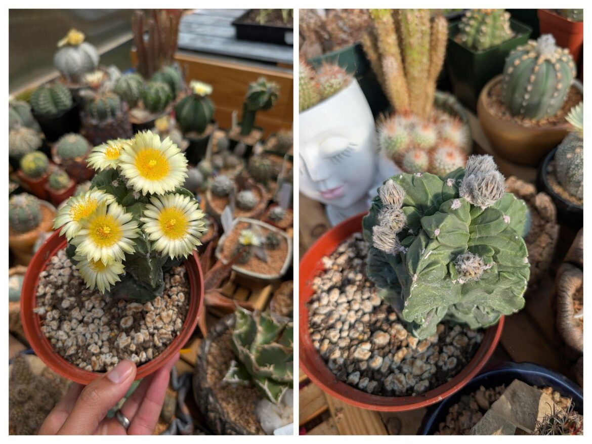 I think she's happy spring is finally here