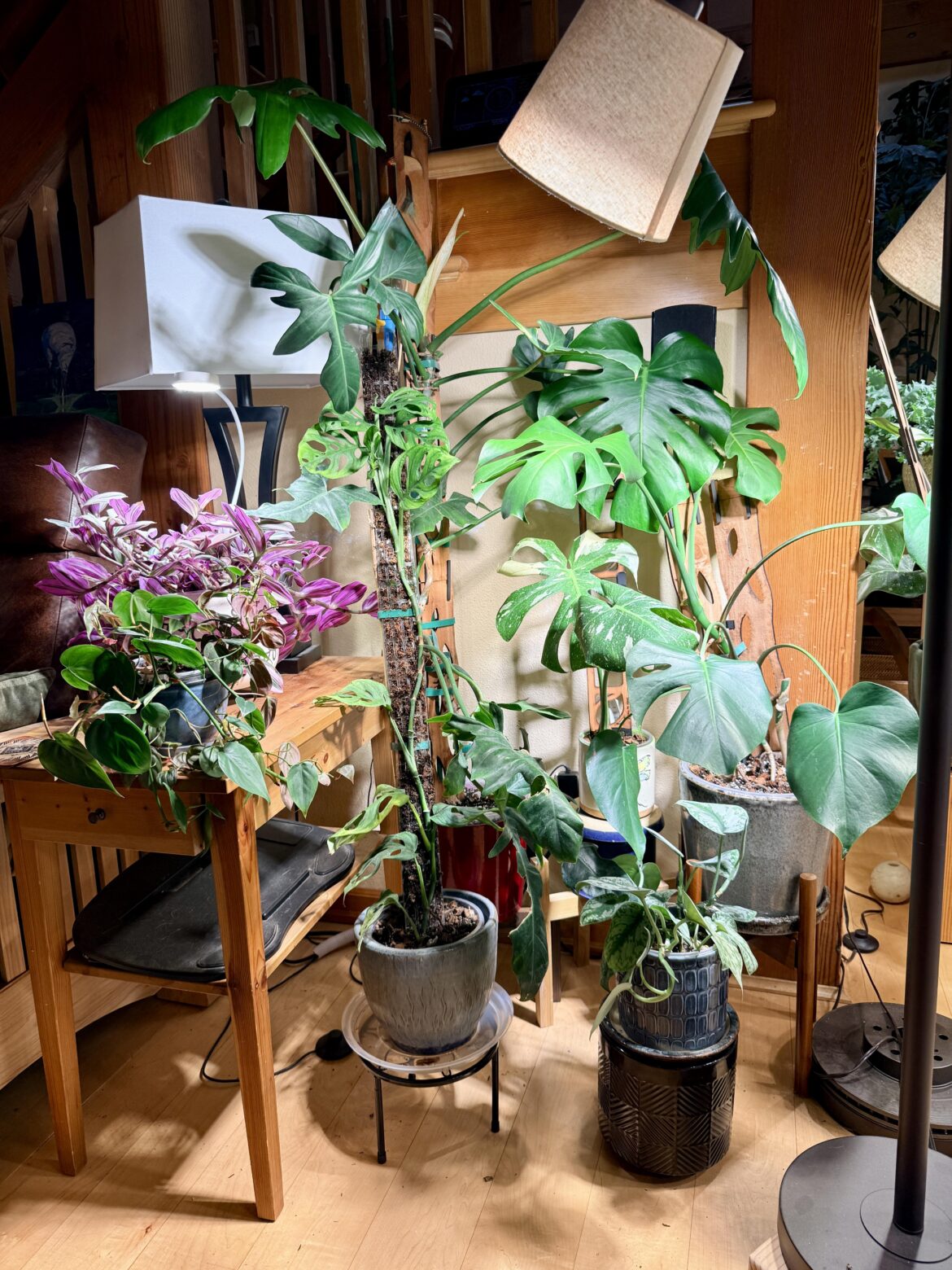 Loving this little plant area Loving this little plant area