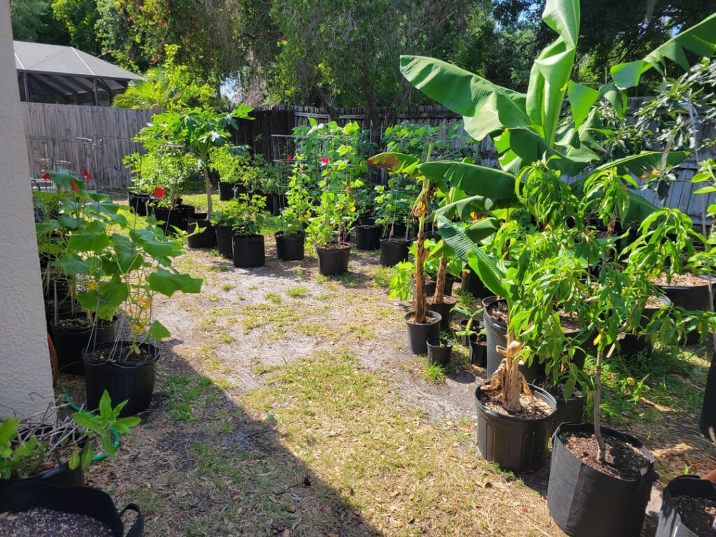 Any other container gardeners?
