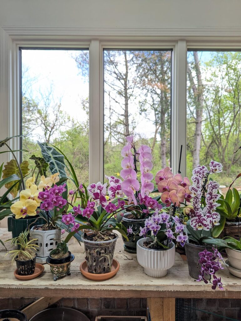 My phal table
