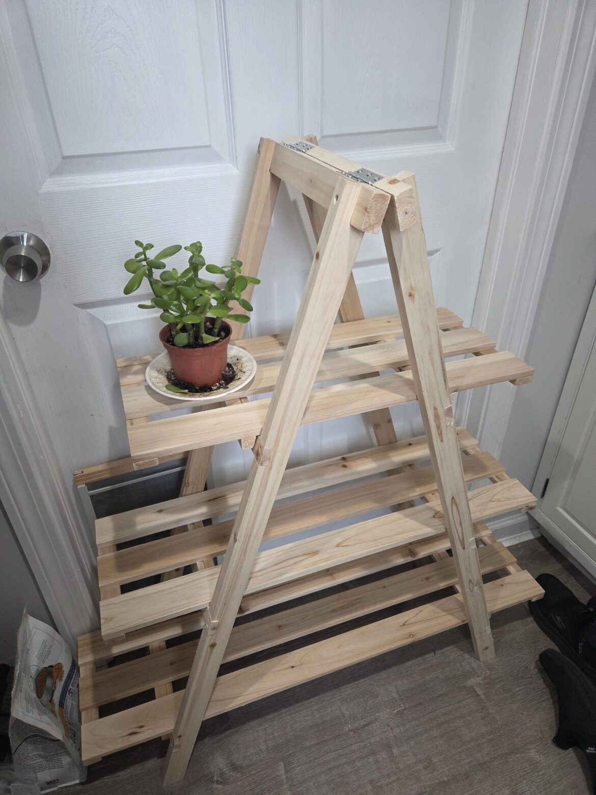 Help with indoor garden