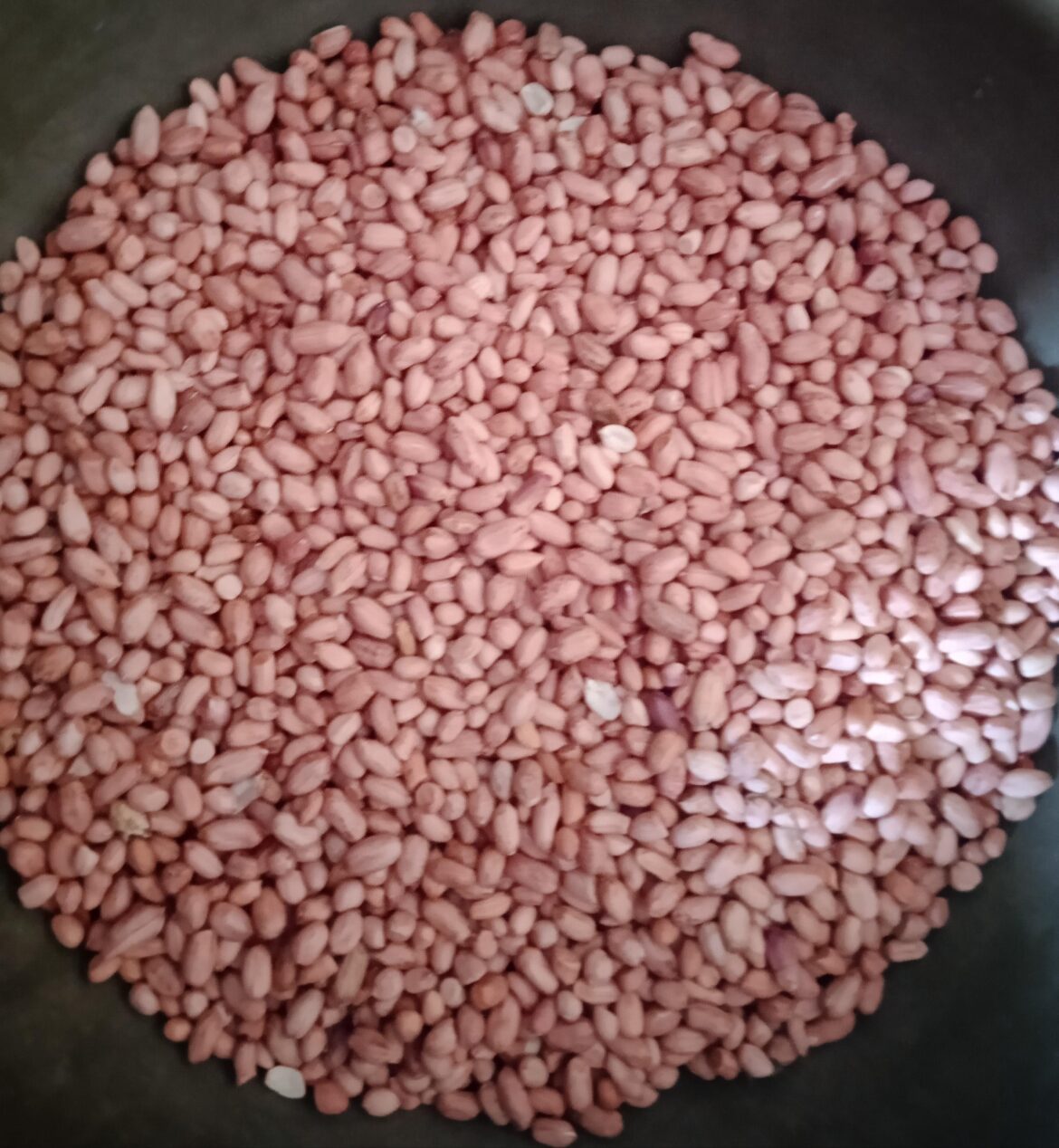 Fresh Peanuts of my farm