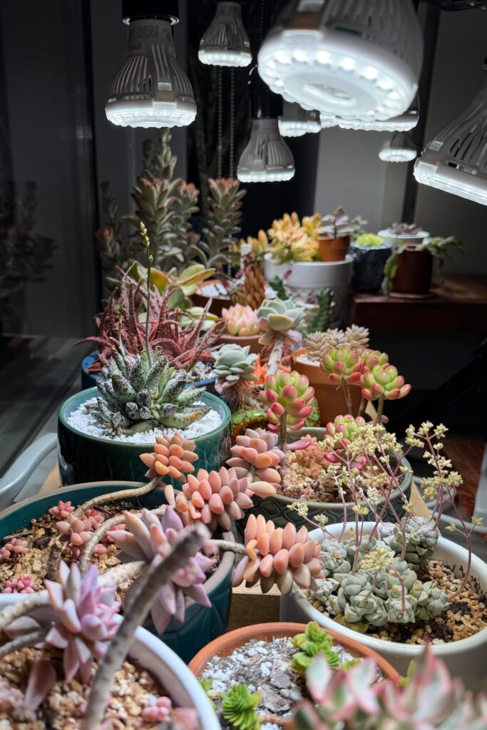My favorite corner of the collection