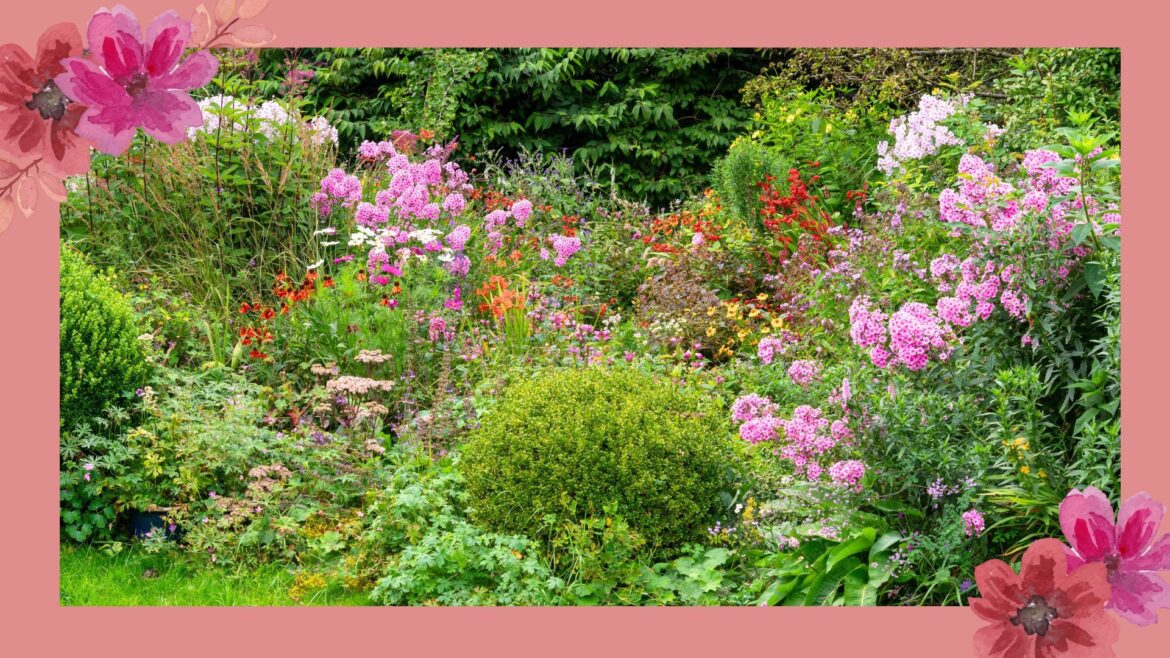 5 reasons to switch to perennials for a low-effort garden picture of english garden with perennials growing