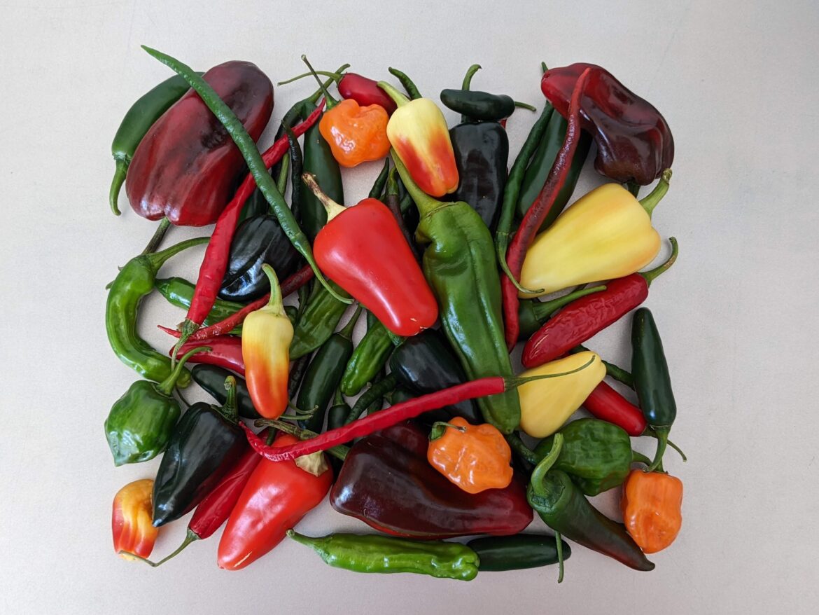 Felt spicy, might delete later.