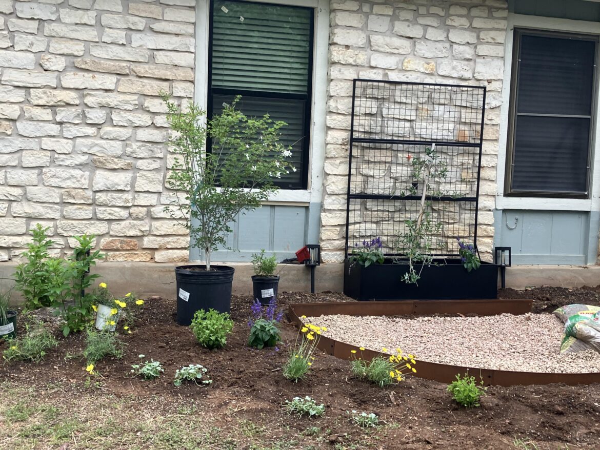 Need shrub/tree ideas Need shrub/tree ideas