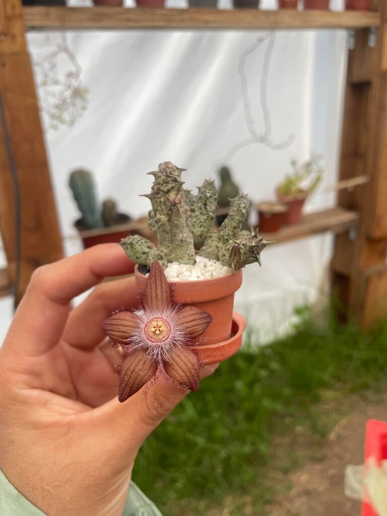 What’s the name of this one?