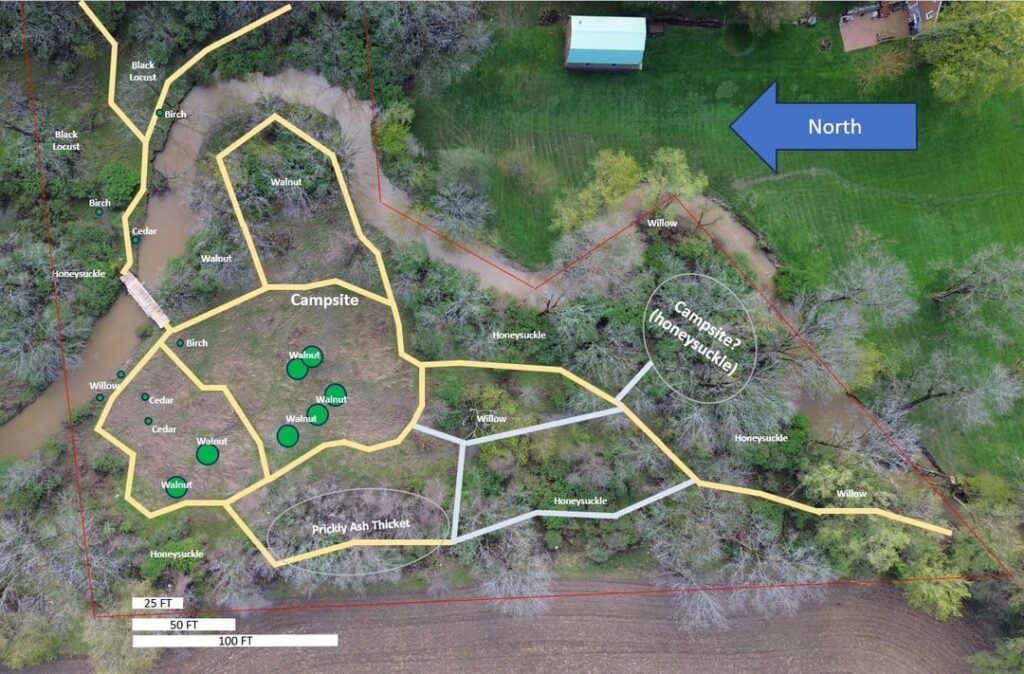 Help me plan this Plot