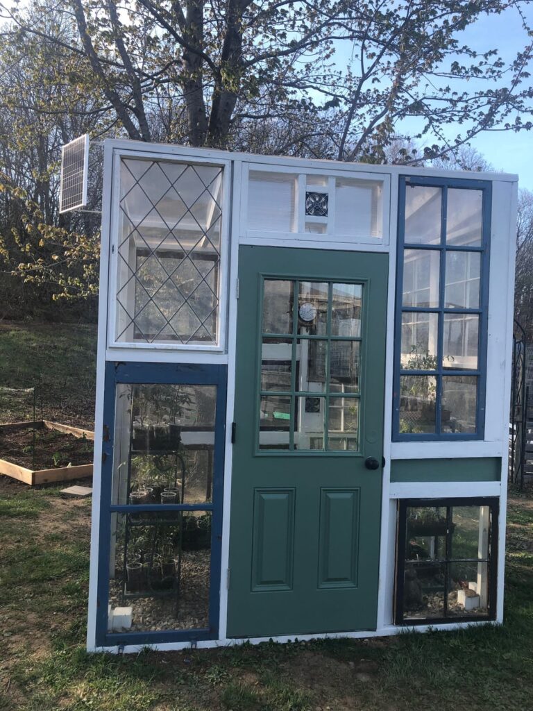 My husband and I made a mini greenhouse from old windows and (mostly) repurposed lumber!