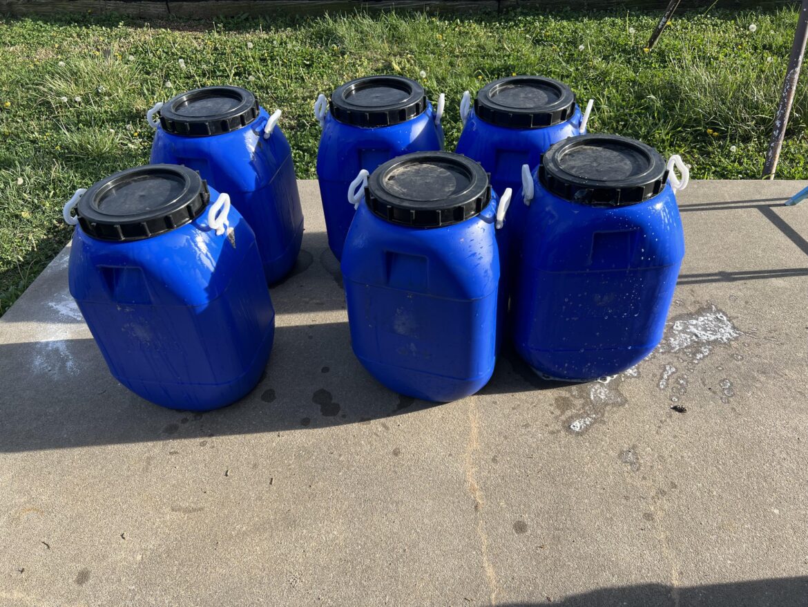 These up cycled 18 garlic barrels are super handy.