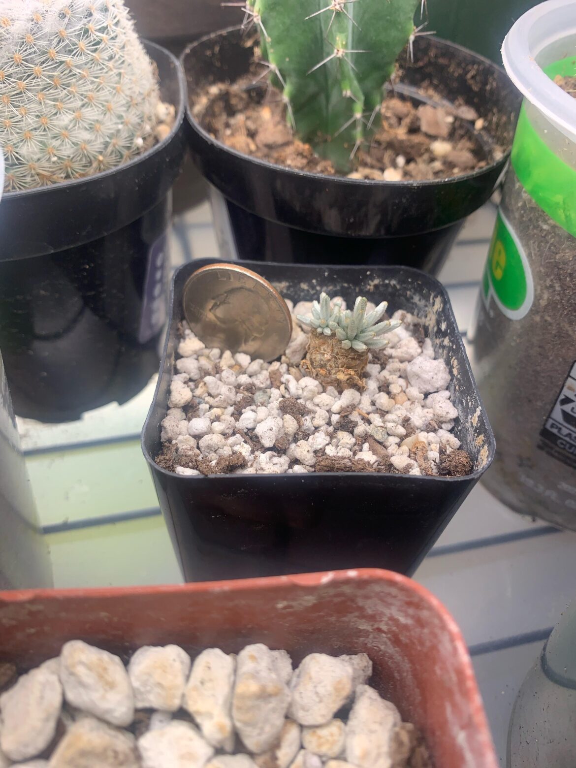 Watering cycle?