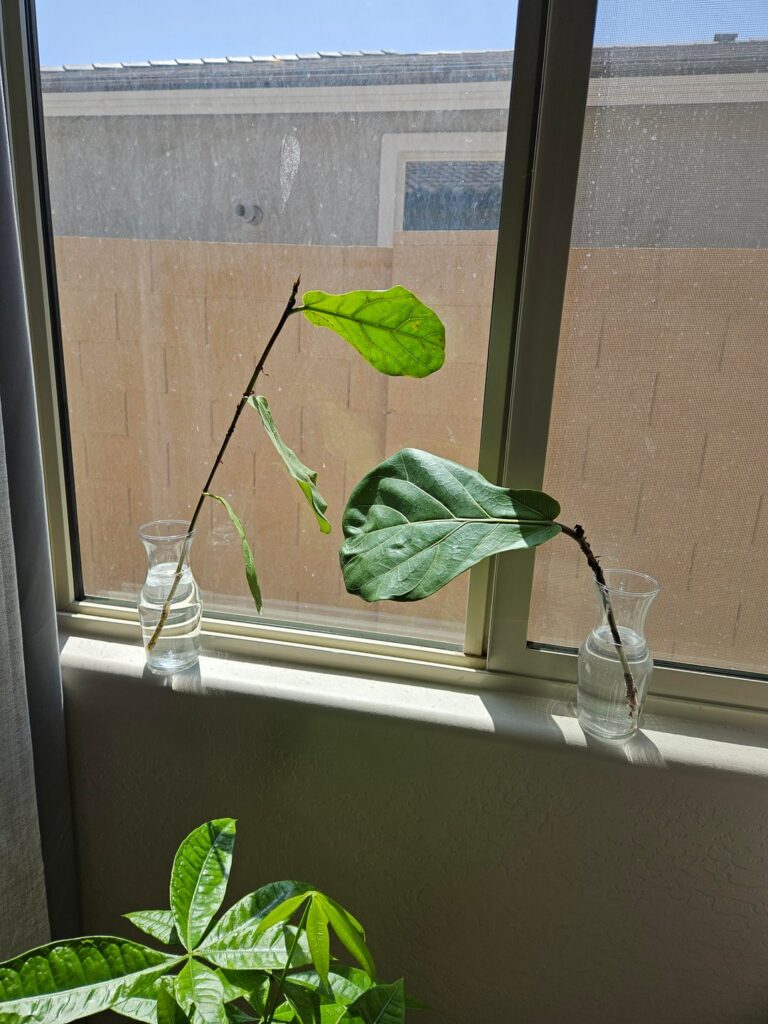 First attempt to Propagate First attempt to Propagate