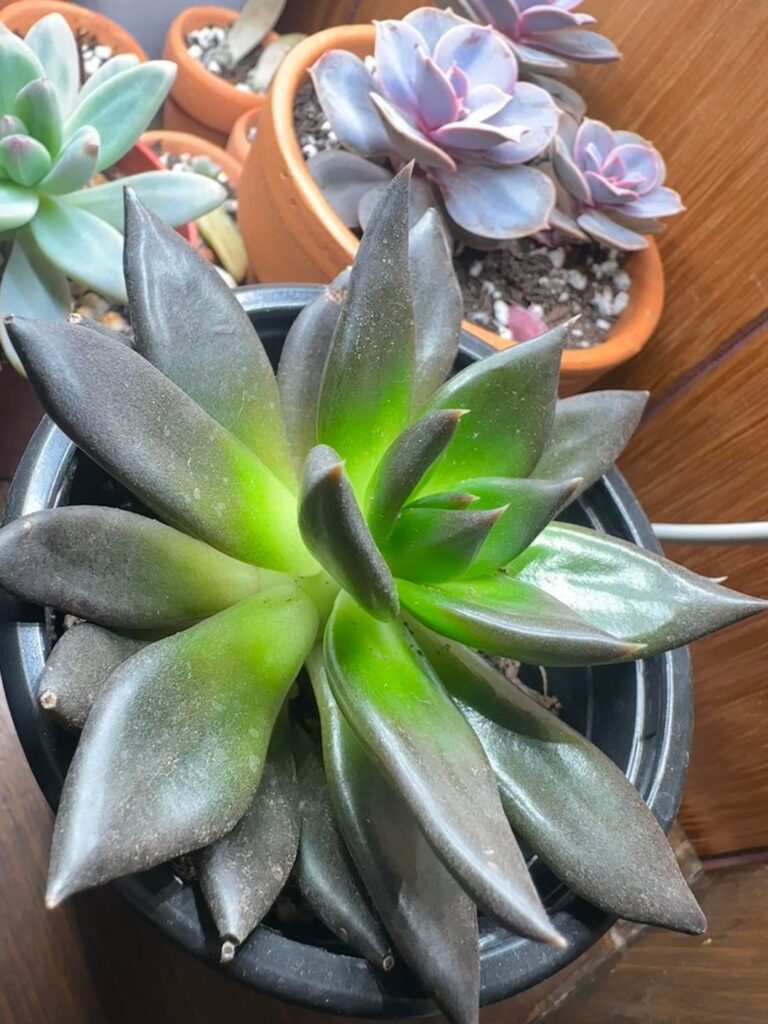 So pretty ❤️