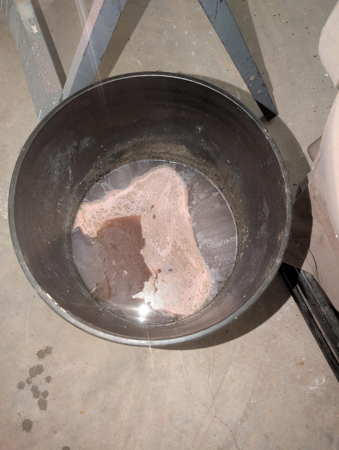Homemade FISH Fertilizer:) Homemade FISH Fertilizer:)