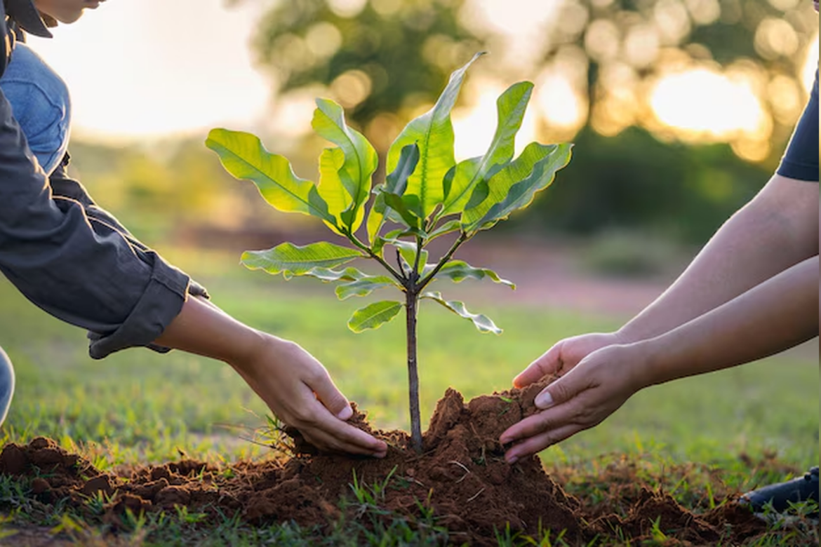 Free Gardening Course Returns to Grants Pass This April
