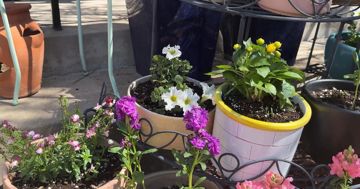 plants.jpg