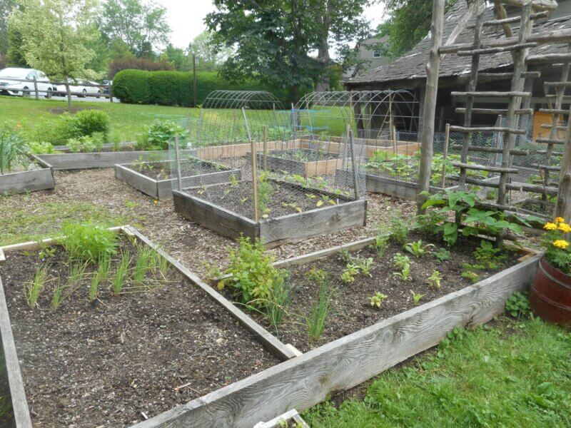Photo by Deborah J. Benoit..
This garden includes woven wire bent into arches to support vegetable plants as well as wooden ladder-like trellis structures used as plant supports.