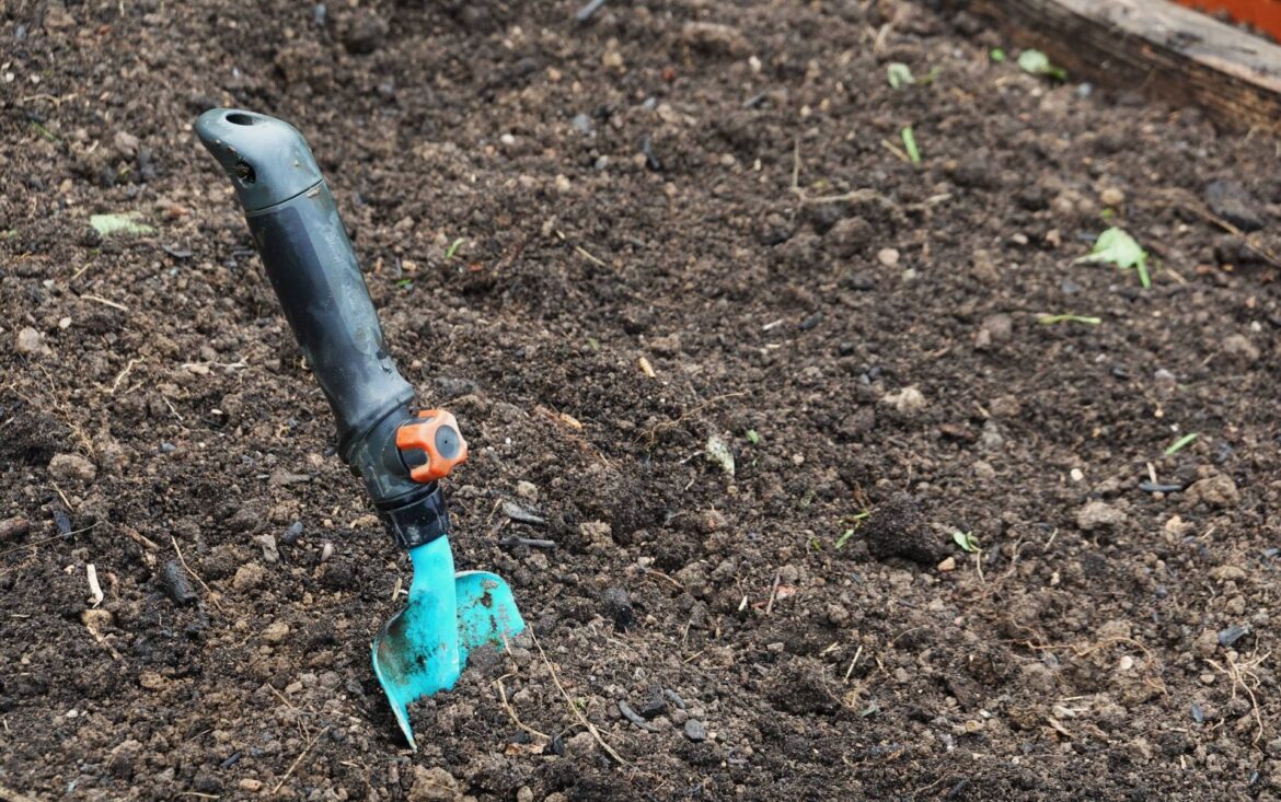 Homeowner shares before-and-after footage after turning dirt plot into flourishing vegetable garden A small blue gardening trowel is stuck in dark, loose soil in a garden bed.