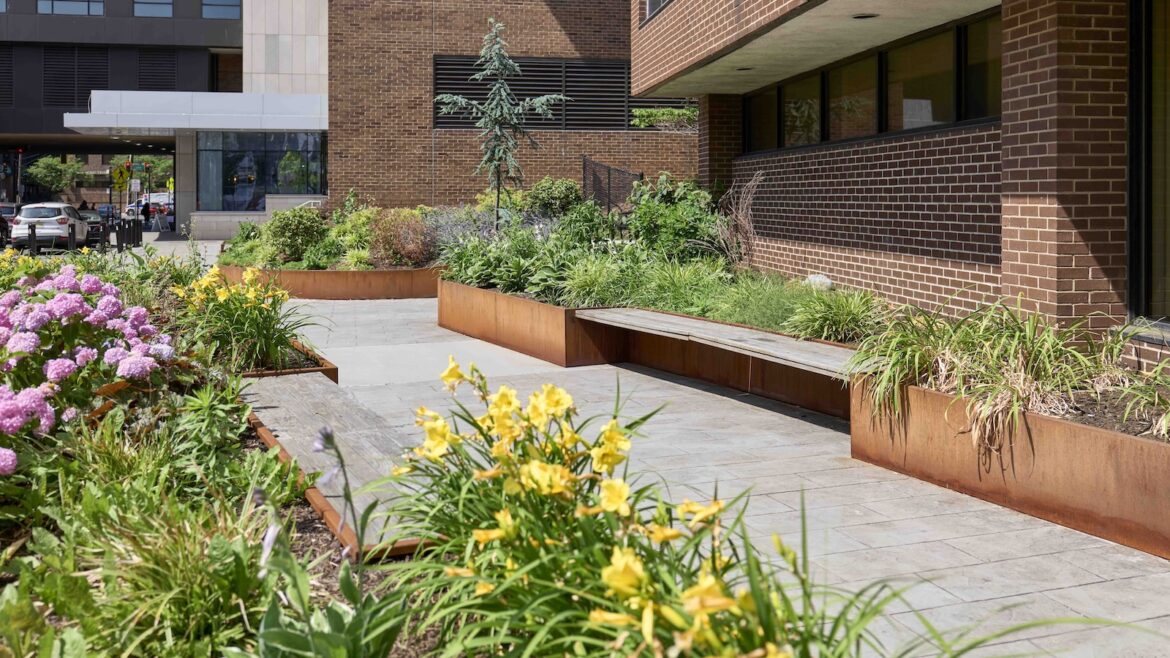 Pocket gardens: The tiny urban oases with surprisingly big benefits Pocket gardens: The tiny urban oases with surprisingly big benefits