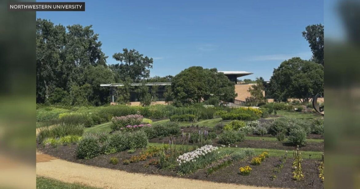 Northwestern University researchers find cultivated garden flowers can still be pollinator-friendly Northwestern University researchers find cultivated garden flowers can still be pollinator-friendly