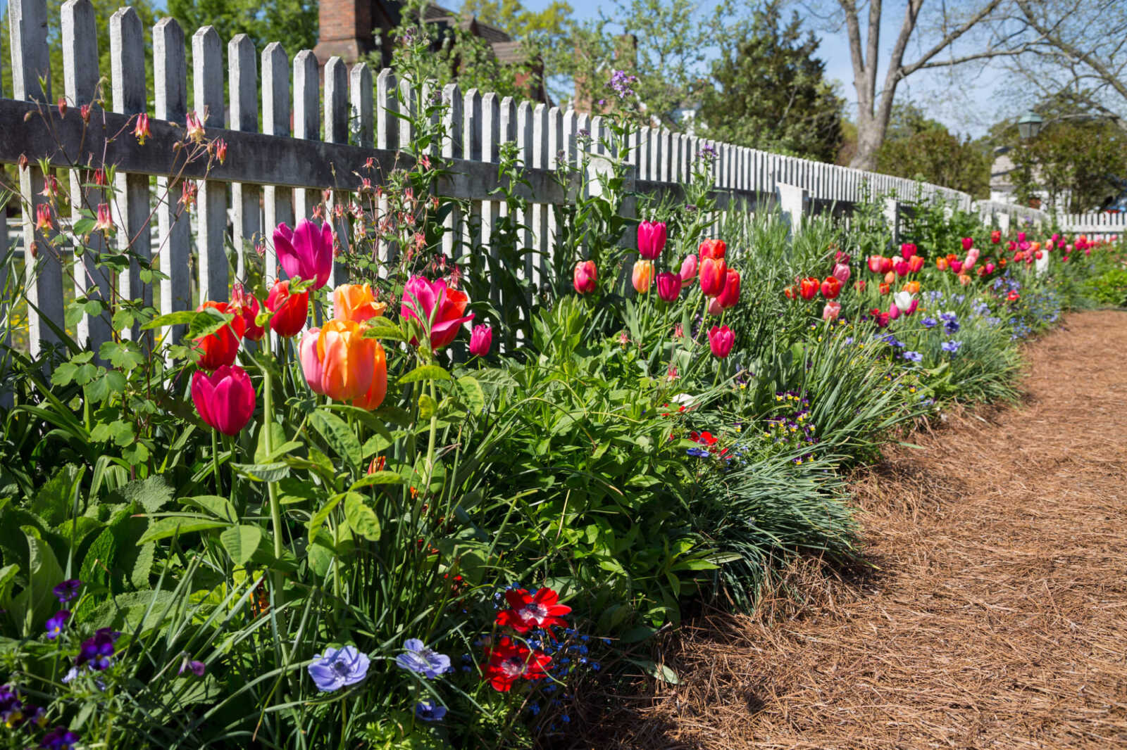 Photo Courtesy of The Garden Club of Virginia